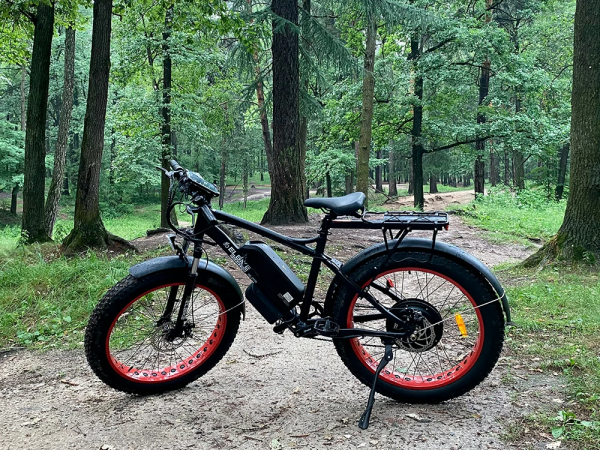 Электрофэтбайк Elbike Phantom Elite Зеленый