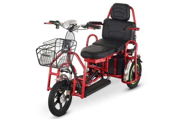 Электротрицикл Elbike Адъютант Double Twix A4